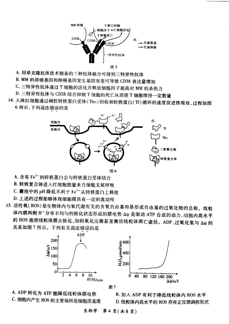 2024年茂名市高三年级第二次综合测试生物试卷_2024年4月_01按日期_15号_2024届广东省茂名高三年级第二次综合测试_2024年茂名市高三年级第二次综合测试生物