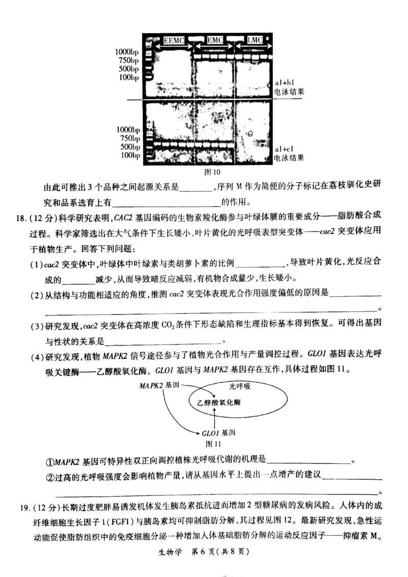 2024年茂名市高三年级第二次综合测试生物试卷_2024年4月_01按日期_15号_2024届广东省茂名高三年级第二次综合测试_2024年茂名市高三年级第二次综合测试生物