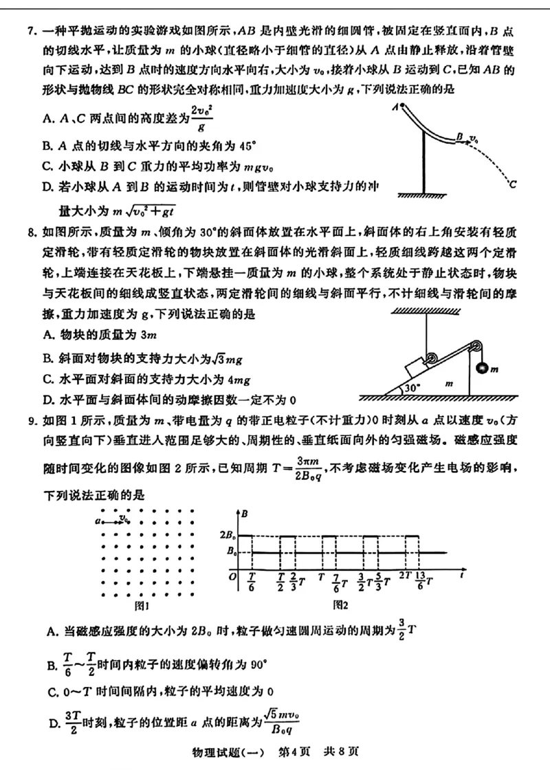 2024届湖北省T8联盟高三下学期压轴考试（一）物理试卷(1)_2024年5月_025月合集_2024届湖北省T8联盟高三下学期压轴考试（一模）