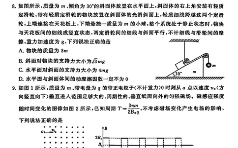 2024届湖北省T8联盟高三下学期压轴考试（一）物理试卷(1)_2024年5月_025月合集_2024届湖北省T8联盟高三下学期压轴考试（一模）