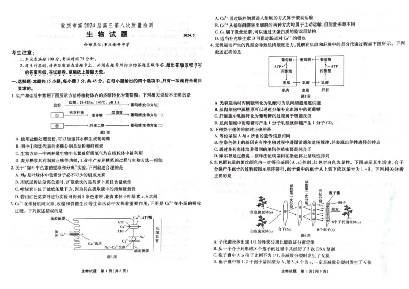 2024届重庆市南开中学高三下学期5月第八次质量检测生物试题_2024年5月_01按日期_10号_2024届重庆市南开中学高三下学期5月月考