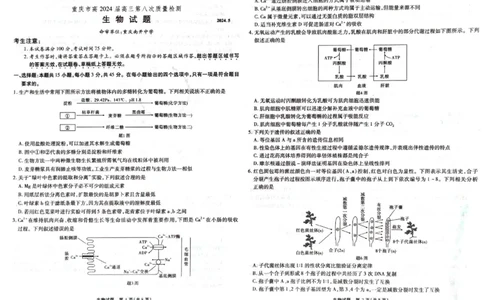 2024届重庆市南开中学高三下学期5月第八次质量检测生物试题_2024年5月_01按日期_10号_2024届重庆市南开中学高三下学期5月月考