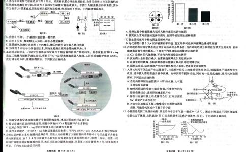 2024届重庆市南开中学高三下学期5月第八次质量检测生物试题_2024年5月_01按日期_10号_2024届重庆市南开中学高三下学期5月月考