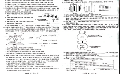 2024届重庆市南开中学高三下学期5月第八次质量检测生物试题_2024年5月_01按日期_10号_2024届重庆市南开中学高三下学期5月月考