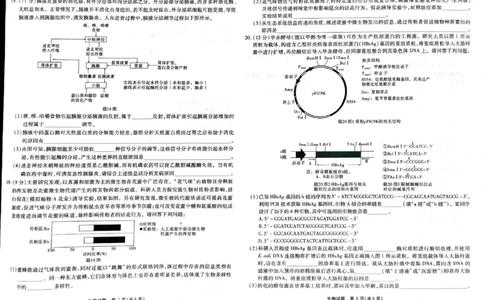 2024届重庆市南开中学高三下学期5月第八次质量检测生物试题_2024年5月_01按日期_10号_2024届重庆市南开中学高三下学期5月月考