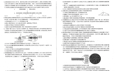 2024届辽宁省部分学校高三下学期复习联考（二）生物试题_2024年4月_01按日期_26号_2024届百师联盟届高三二轮复习联考（二）_2024百师联盟届高三二轮复习联考（二）生物试题