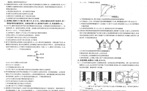 2024届辽宁省部分学校高三下学期复习联考（二）生物试题_2024年4月_01按日期_26号_2024届百师联盟届高三二轮复习联考（二）_2024百师联盟届高三二轮复习联考（二）生物试题