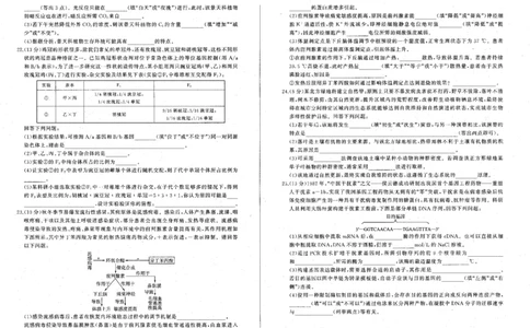 2024届辽宁省部分学校高三下学期复习联考（二）生物试题_2024年4月_01按日期_26号_2024届百师联盟届高三二轮复习联考（二）_2024百师联盟届高三二轮复习联考（二）生物试题