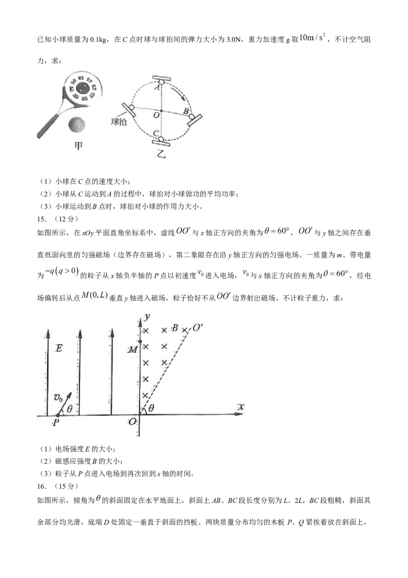 2024届福建省部分地市高三下学期4月诊断检测（三模）物理试题+答案(1)_2024年4月_024月合集_2024届福建省九市联考高三4月