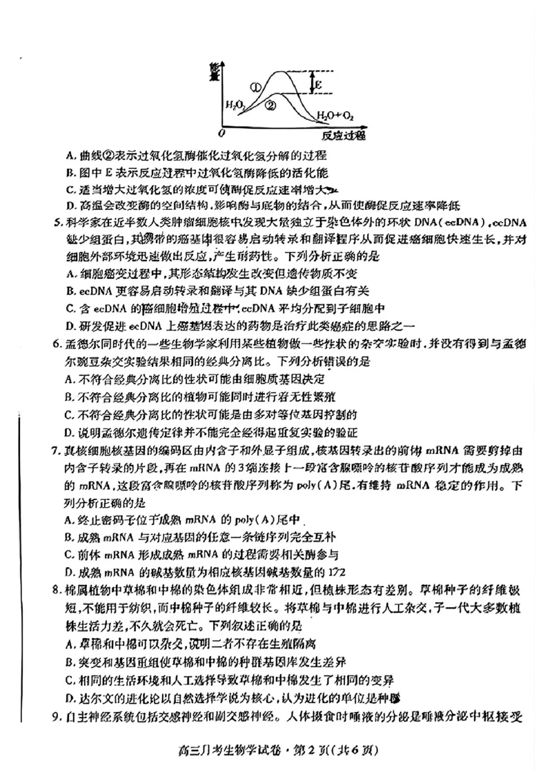 2024届甘肃省高三下学期4月月考试卷（二模）生物试题(1)_2024年4月_024月合集_2024届甘肃省高三下学期4月月考试卷（二模）