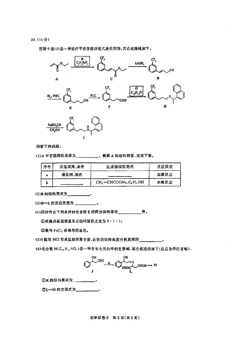 广东省2025届广州市高三年级上学期阶段性训练暨8月摸底考试(市调研考）化学试卷_8月_240822广东省广州市2025届高三年级上学期8月摸底考试(市调研考）