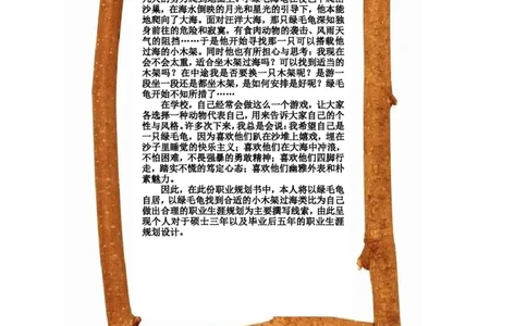 职业规划范本(50)_E6-职业规划_01精选word模板（推荐使用，修改后可用）