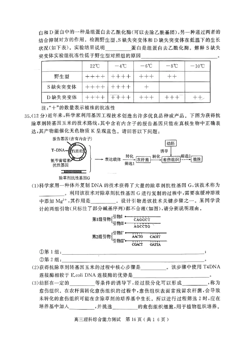 2024年河南省五市高三第一次联考理综试题_2024年3月_013月合集_2024届河南省五市高三下学期第一次联考_2024年河南省五市高三第一次联考理综试题及答案