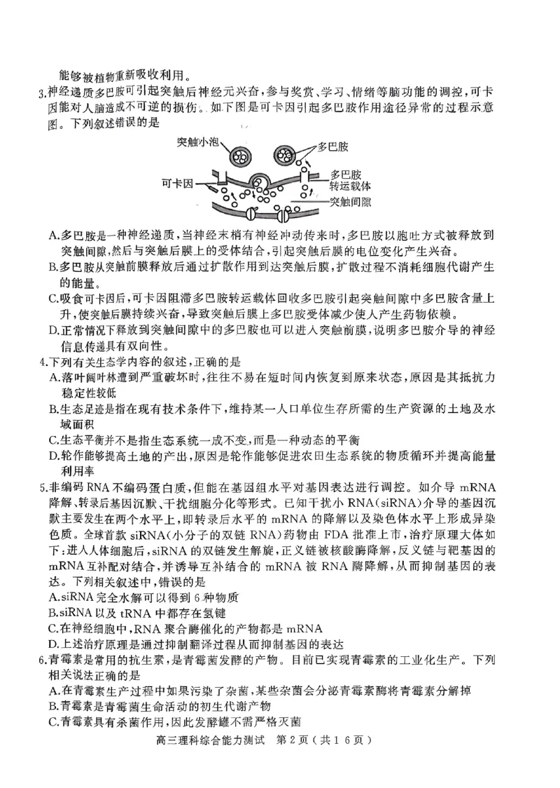 2024年河南省五市高三第一次联考理综试题_2024年3月_013月合集_2024届河南省五市高三下学期第一次联考_2024年河南省五市高三第一次联考理综试题及答案
