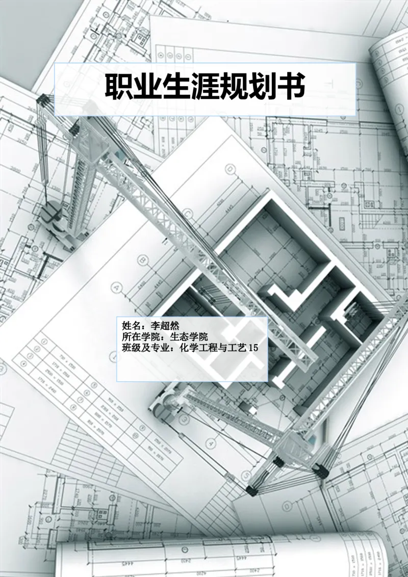 职业生涯规划化工_E6-职业规划_33化学专业