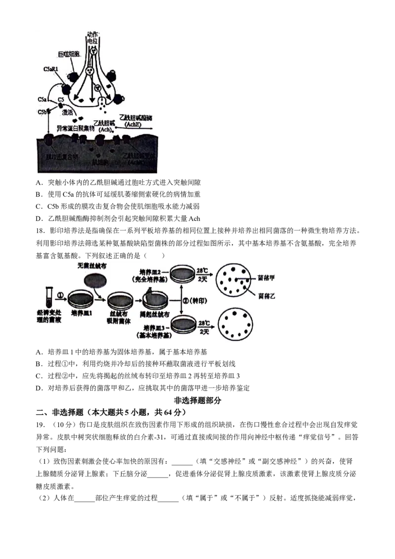 浙江省宁波市2023-2024学年高二下学期6月期末考试生物试题_6月_240621浙江省宁波市2023-2024学年高二下学期6月期末考试