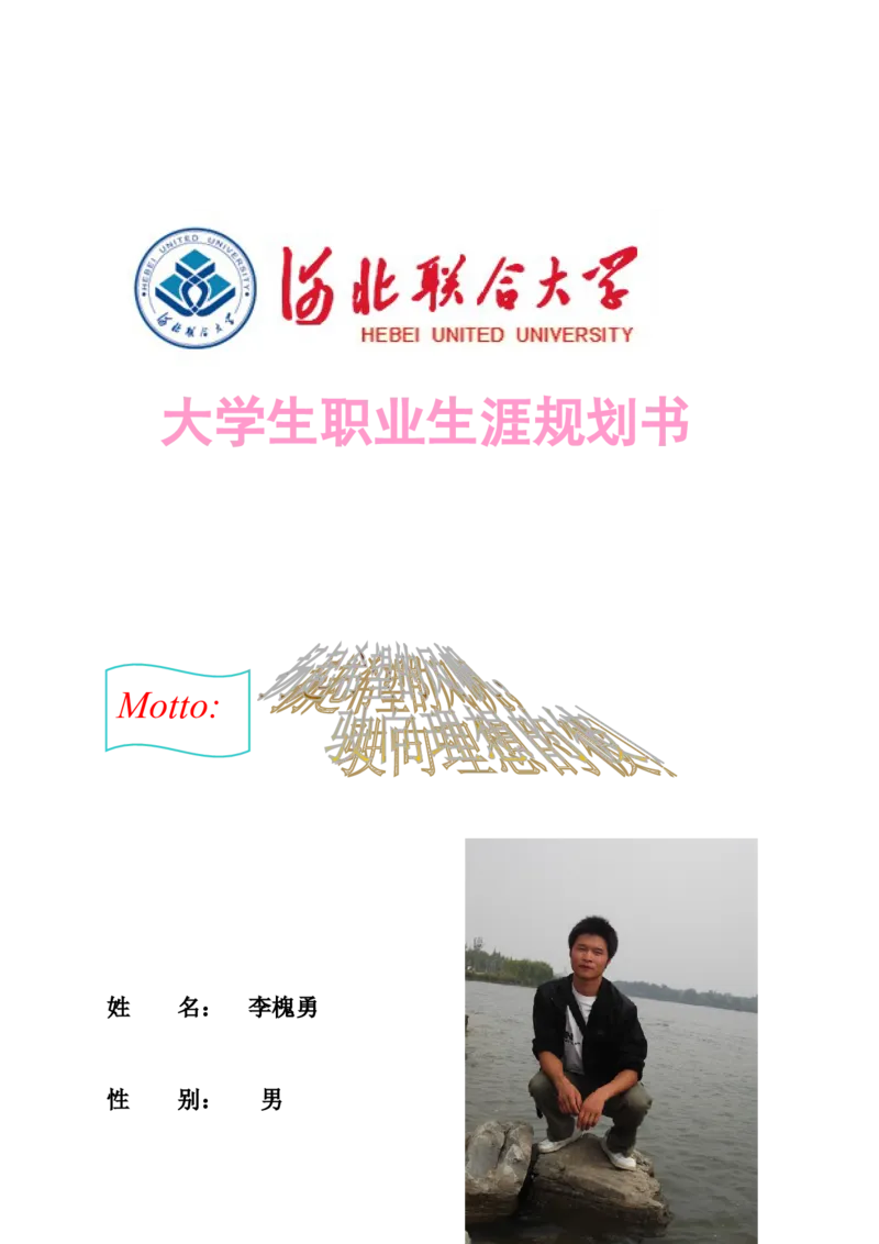 李槐勇&mdash;&mdash;职业生涯规划_E6-职业规划_90冶金专业