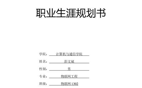 物联网1302彭文斌职业生涯规划_E6-职业规划_74物联网专业