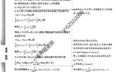 黑卷物理评分标准及详解详析_2024高考押题卷_32024腾远黑白卷_2024腾远高考黑白卷（新课标卷）_黑卷答案