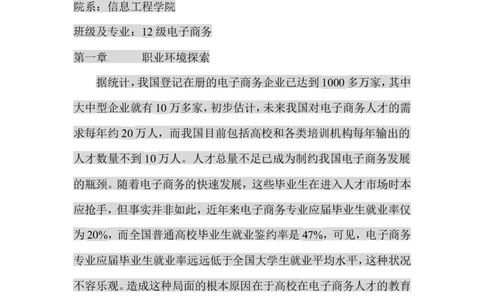 电子商务专业大学生职业生涯规划书_E6-职业规划_13电子商务专业