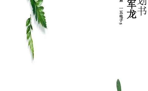 职业生涯规划大赛主持人规划书_E6-职业规划_50播音主持专业