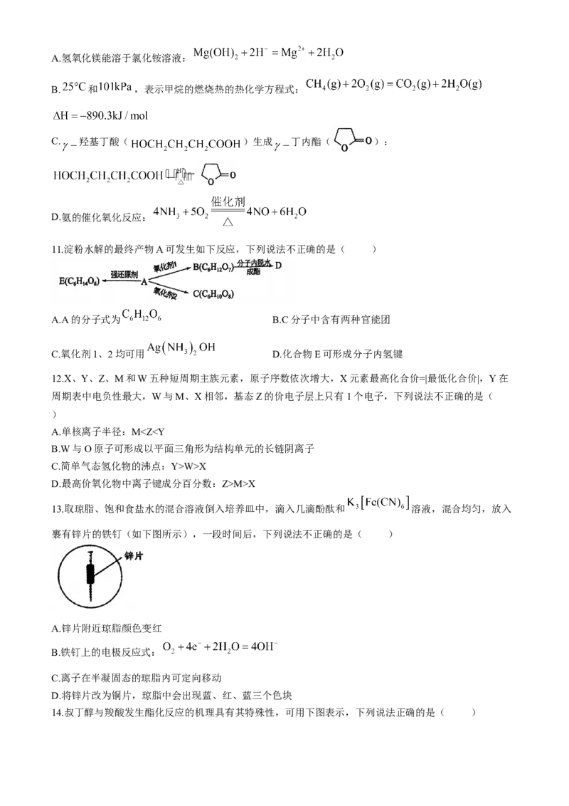 2024届浙江省金华十校高三下学期4月模拟考试（二模）化学试题(1)_2024年4月_024月合集_2024届浙江省金华十校高三下学期4月模拟考试