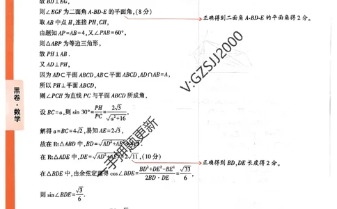 黑卷数学评分标准及详解详析_2024高考押题卷_32024腾远黑白卷_2024腾远高考黑白卷（新课标卷）_黑卷答案