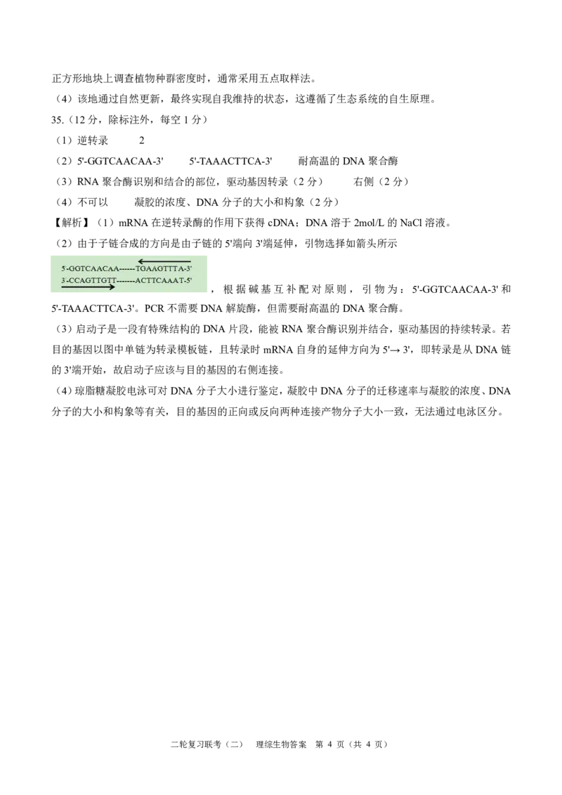 2024届百师联盟高三4月二轮复习联考理科综合试卷(新高考)生物答案_2024年4月_01按日期_26号_2024届百师联盟届高三二轮复习联考（二）