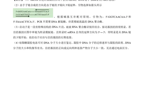 2024届百师联盟高三4月二轮复习联考理科综合试卷(新高考)生物答案_2024年4月_01按日期_26号_2024届百师联盟届高三二轮复习联考（二）