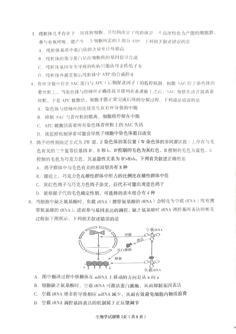 2024届甘肃省兰州市高三下学期诊断考试生物试卷无答案(1)_2024年3月_013月合集_2024届甘肃省兰州市高三下学期诊断考试（一模）