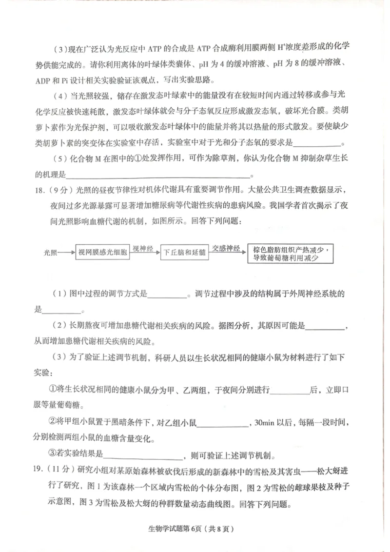 2024届甘肃省兰州市高三下学期诊断考试生物试卷无答案(1)_2024年3月_013月合集_2024届甘肃省兰州市高三下学期诊断考试（一模）