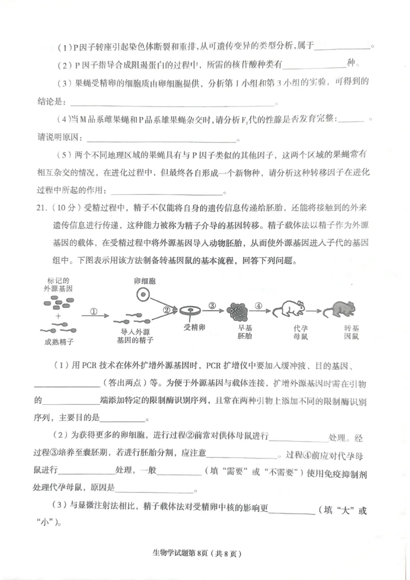 2024届甘肃省兰州市高三下学期诊断考试生物试卷无答案(1)_2024年3月_013月合集_2024届甘肃省兰州市高三下学期诊断考试（一模）