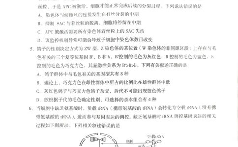 2024届甘肃省兰州市高三下学期诊断考试生物试卷无答案(1)_2024年3月_013月合集_2024届甘肃省兰州市高三下学期诊断考试（一模）