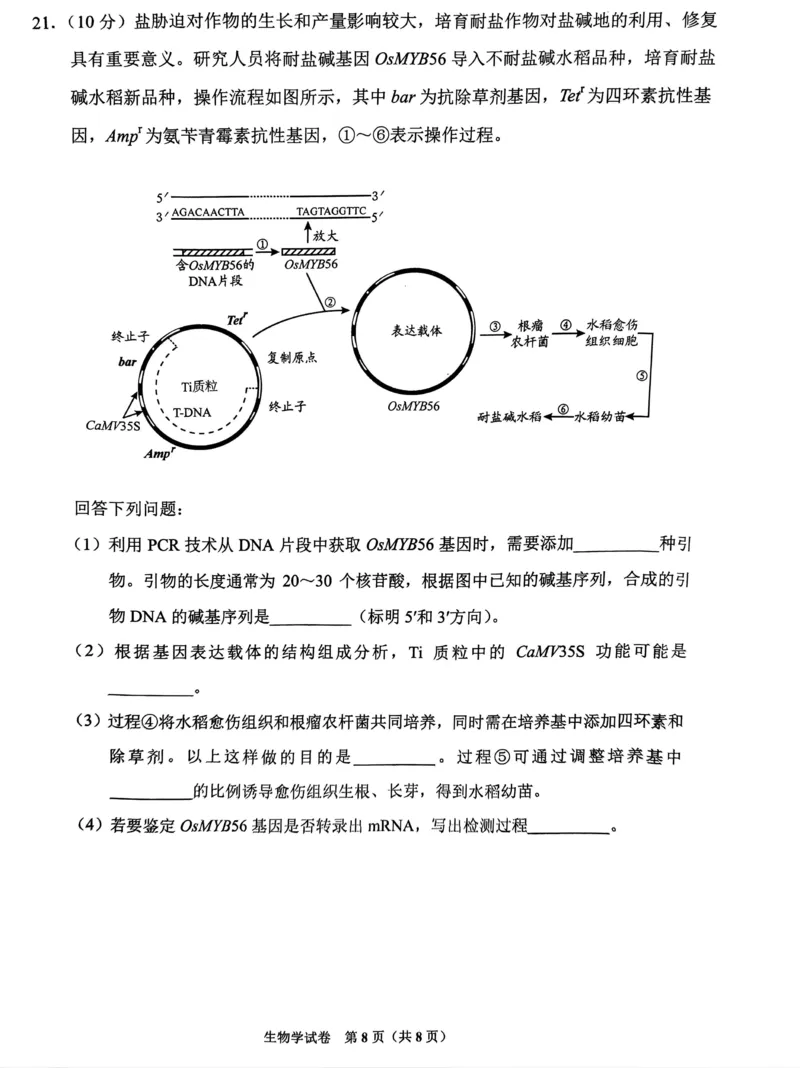 2024届贵州省贵阳市高三下学期5月适应性考试（二）生物试题_2024年5月_01按日期_8号_2024届贵州省贵阳市高三下学期5月适应性考试（二）
