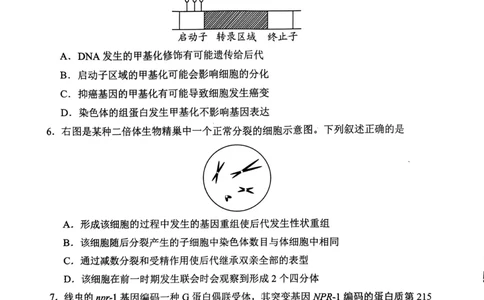 2024届贵州省贵阳市高三下学期5月适应性考试（二）生物试题_2024年5月_01按日期_8号_2024届贵州省贵阳市高三下学期5月适应性考试（二）