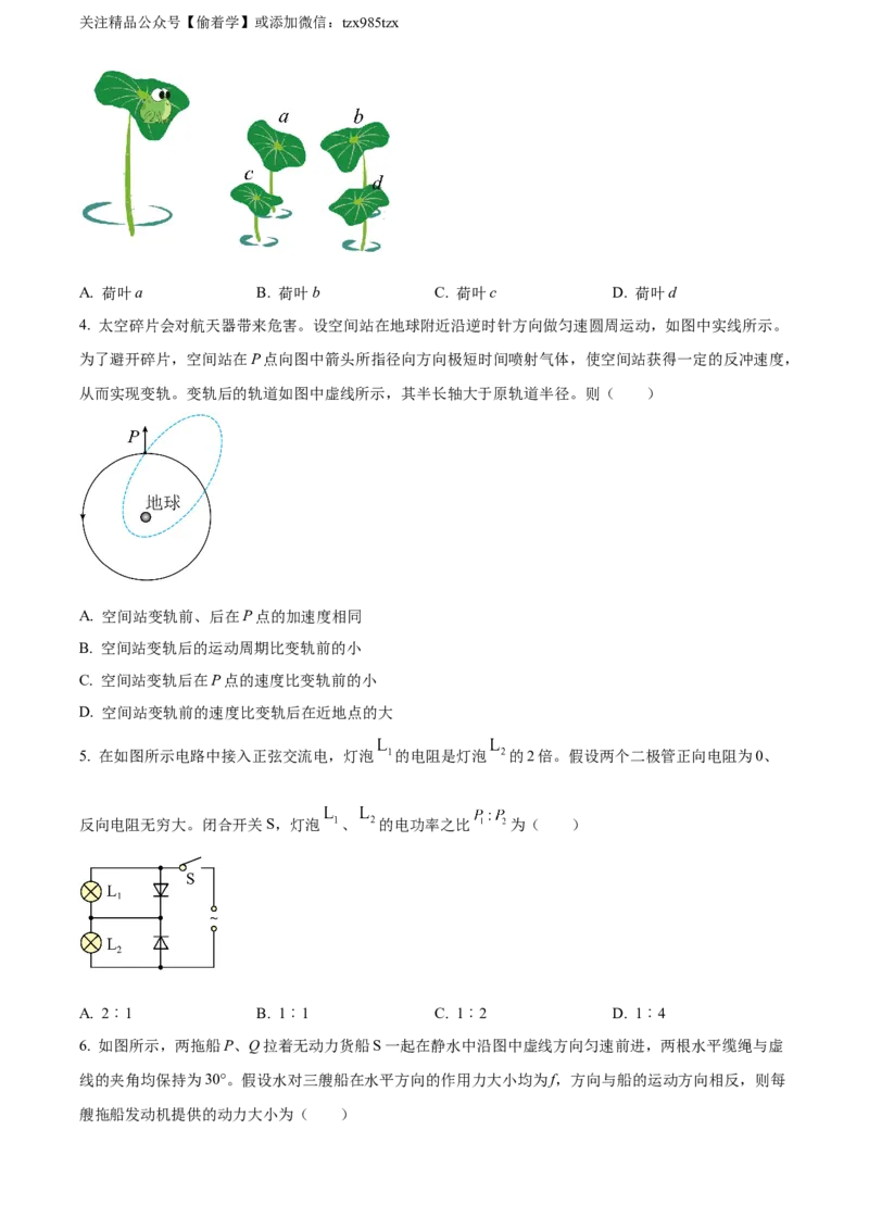 精品解析：2024年高考湖北卷物理真题（原卷版）_高考真题全网收集_物理_精品解析：2024年新高考湖北卷物理高考真题解析（参考版）