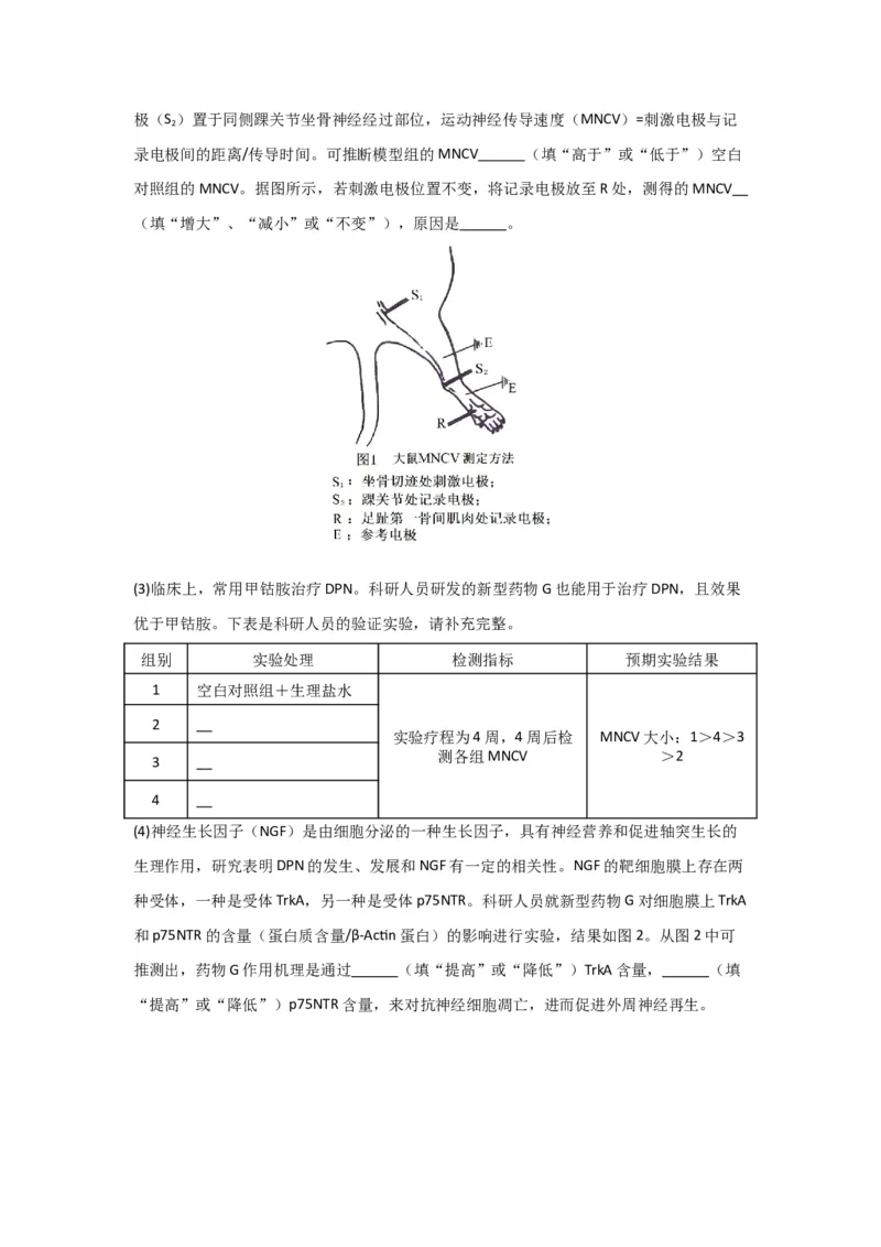 黄金卷04（解析版）-赢在高考&middot;黄金8卷备战2024年高考生物模拟卷（黑龙江专用）_2024高考押题卷_92024赢在高考全系列_赢在高考&middot;黄金8卷备战2024年高考生物模拟卷