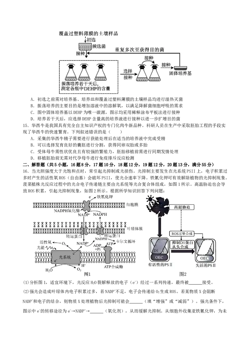 四川省部分高中2026届高三上学期第一次联合质检考试生物Word版含答案_2025年9月_250919四川省部分高中2026届高三上学期第一次联合质检考试