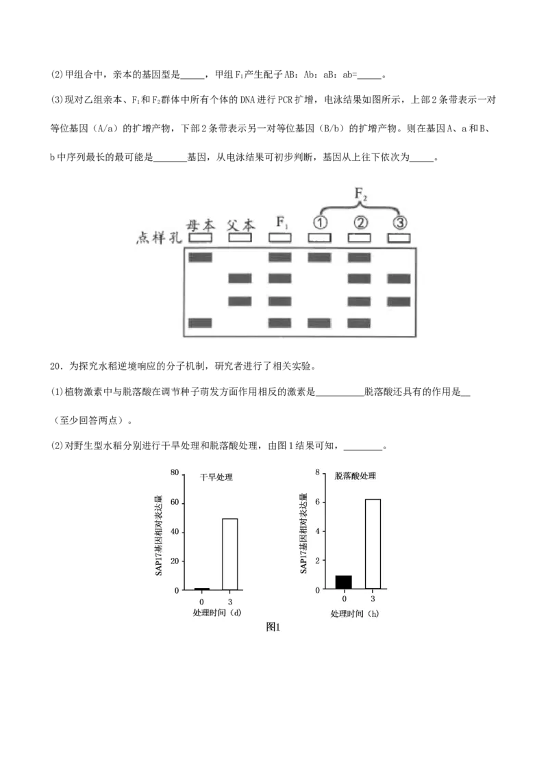 四川省部分高中2026届高三上学期第一次联合质检考试生物Word版含答案_2025年9月_250919四川省部分高中2026届高三上学期第一次联合质检考试