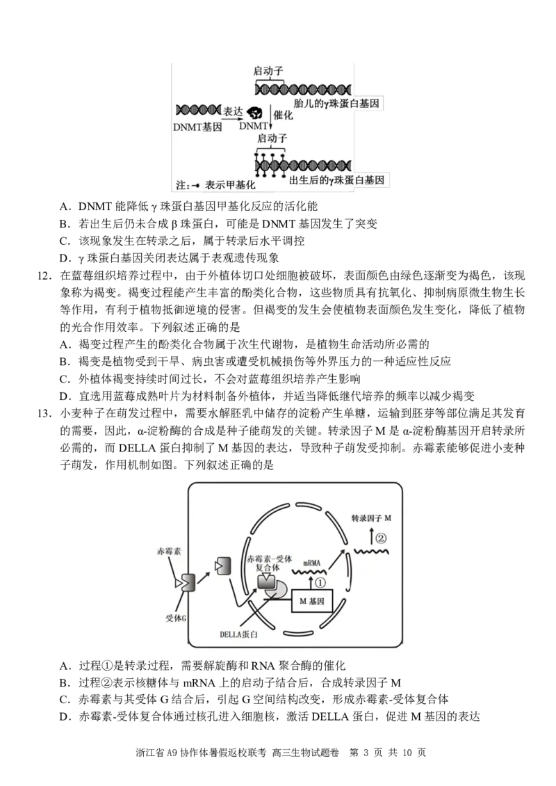 浙江省A9协作体2025届2024年8月高三年级八月暑期返校联考生物试卷_8月_240823浙江省A9协作体2025届2024年8月高三年级八月暑期返校联考