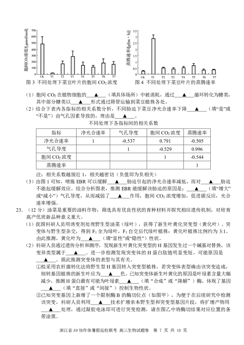 浙江省A9协作体2025届2024年8月高三年级八月暑期返校联考生物试卷_8月_240823浙江省A9协作体2025届2024年8月高三年级八月暑期返校联考