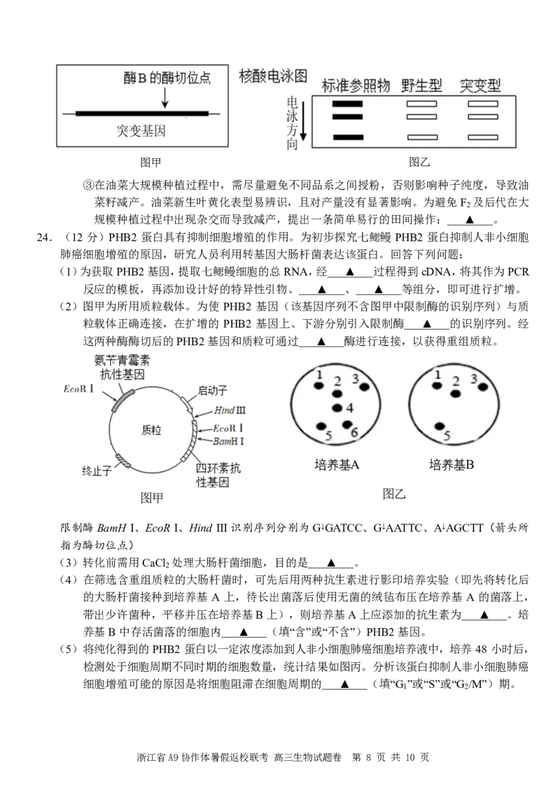 浙江省A9协作体2025届2024年8月高三年级八月暑期返校联考生物试卷_8月_240823浙江省A9协作体2025届2024年8月高三年级八月暑期返校联考
