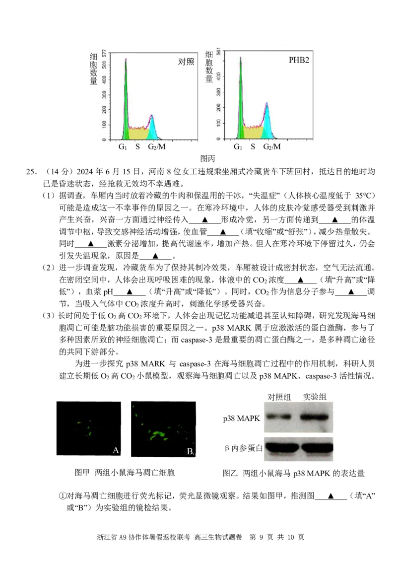 浙江省A9协作体2025届2024年8月高三年级八月暑期返校联考生物试卷_8月_240823浙江省A9协作体2025届2024年8月高三年级八月暑期返校联考