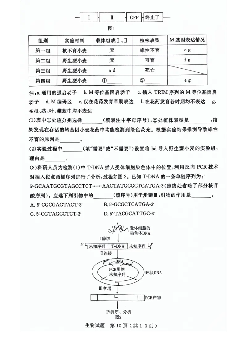 24济宁二模生物试题_2024年4月_01按日期_29号_2024届山东省济宁市高考第二次模拟考试_2024年山东省济宁市高考第二次模拟考试生物
