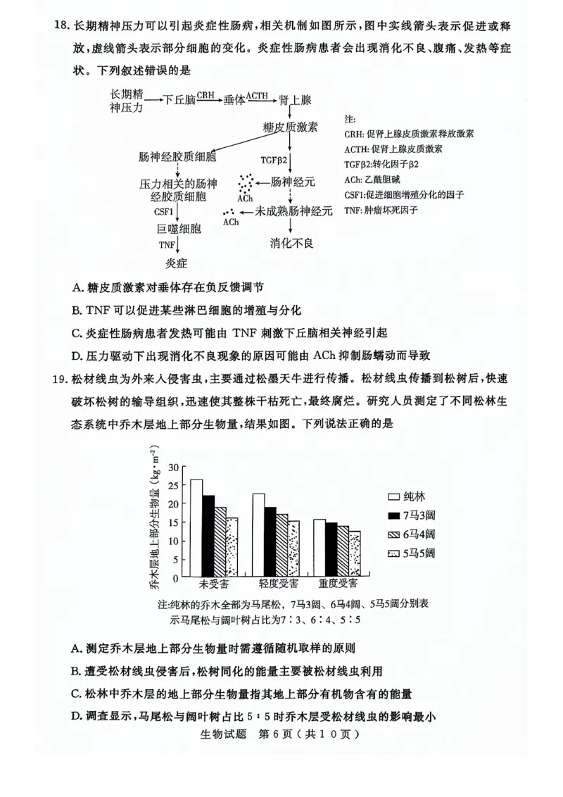 24济宁二模生物试题_2024年4月_01按日期_29号_2024届山东省济宁市高考第二次模拟考试_2024年山东省济宁市高考第二次模拟考试生物