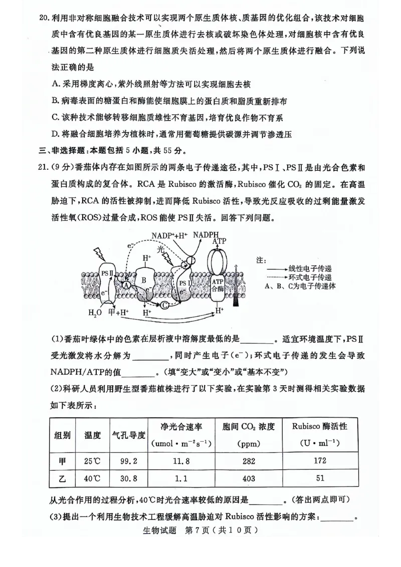 24济宁二模生物试题_2024年4月_01按日期_29号_2024届山东省济宁市高考第二次模拟考试_2024年山东省济宁市高考第二次模拟考试生物