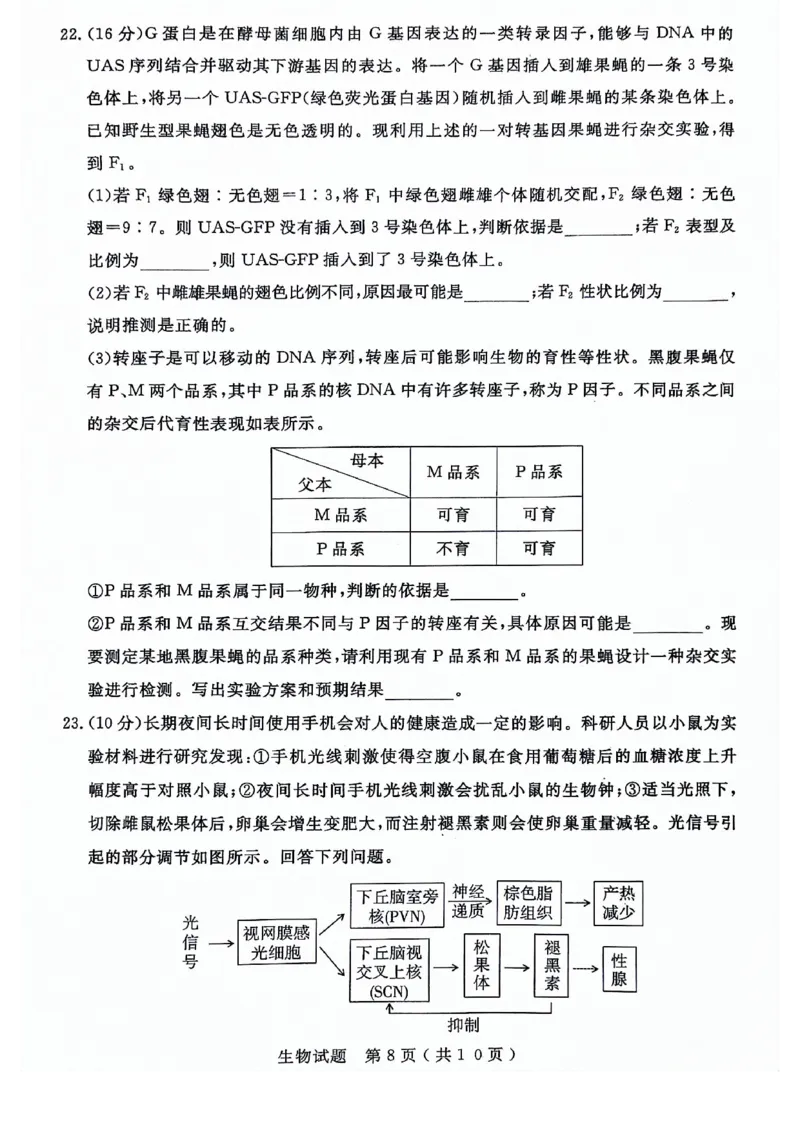 24济宁二模生物试题_2024年4月_01按日期_29号_2024届山东省济宁市高考第二次模拟考试_2024年山东省济宁市高考第二次模拟考试生物