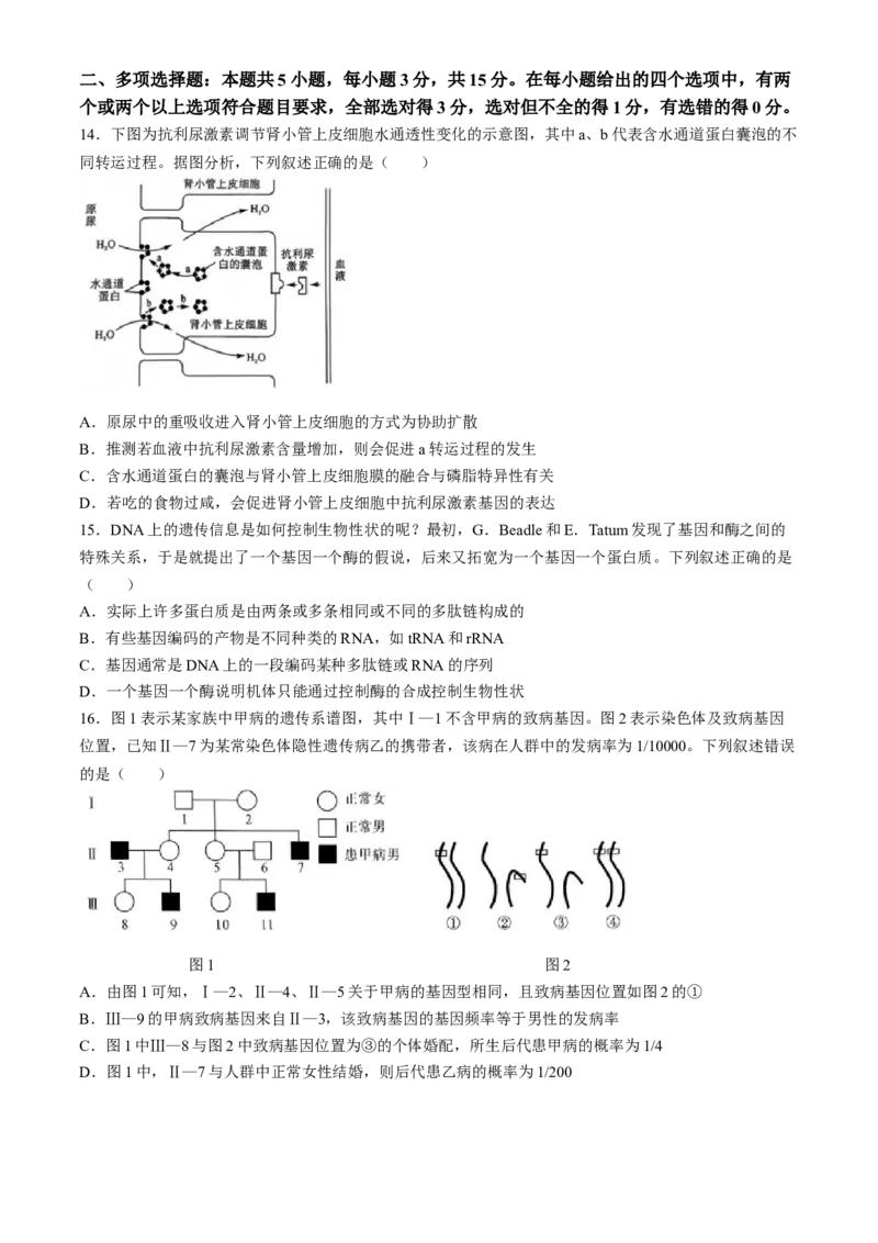 山西省朔州市怀仁市第一中学校2024-2025学年高三上学期摸底考试生物学试题(1)_8月_240819山西省朔州市怀仁市第一中学校2025届高三上学期摸底考试