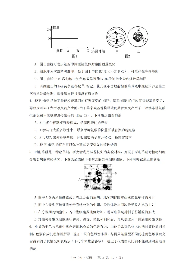 2024届湖南省长沙市雅礼中学高三3月综合测试（一）生物试题_2024年3月_013月合集_2024届湖南省长沙市雅礼中学高三下学期3月综合测试（一）