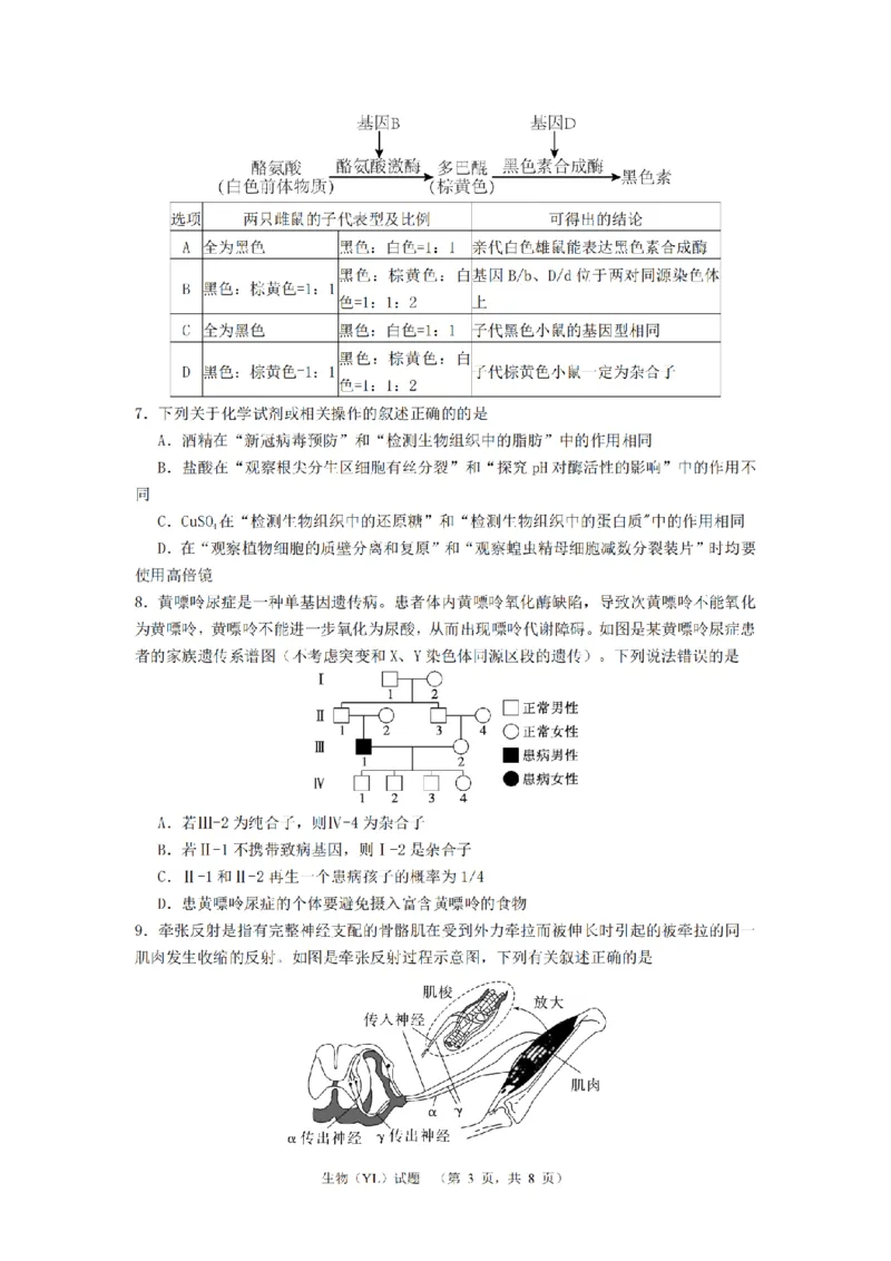 2024届湖南省长沙市雅礼中学高三3月综合测试（一）生物试题_2024年3月_013月合集_2024届湖南省长沙市雅礼中学高三下学期3月综合测试（一）